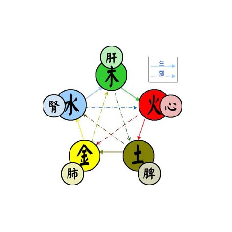 水 木 五行|五行(對萬事萬物的取象比類):簡介介紹,涵義解析,初始。